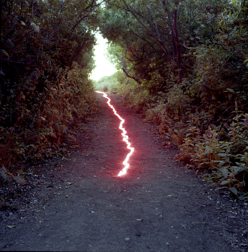 Illustration for article titled What Is The Meaning Of These Strange Glowing Shapes In The Wilderness?